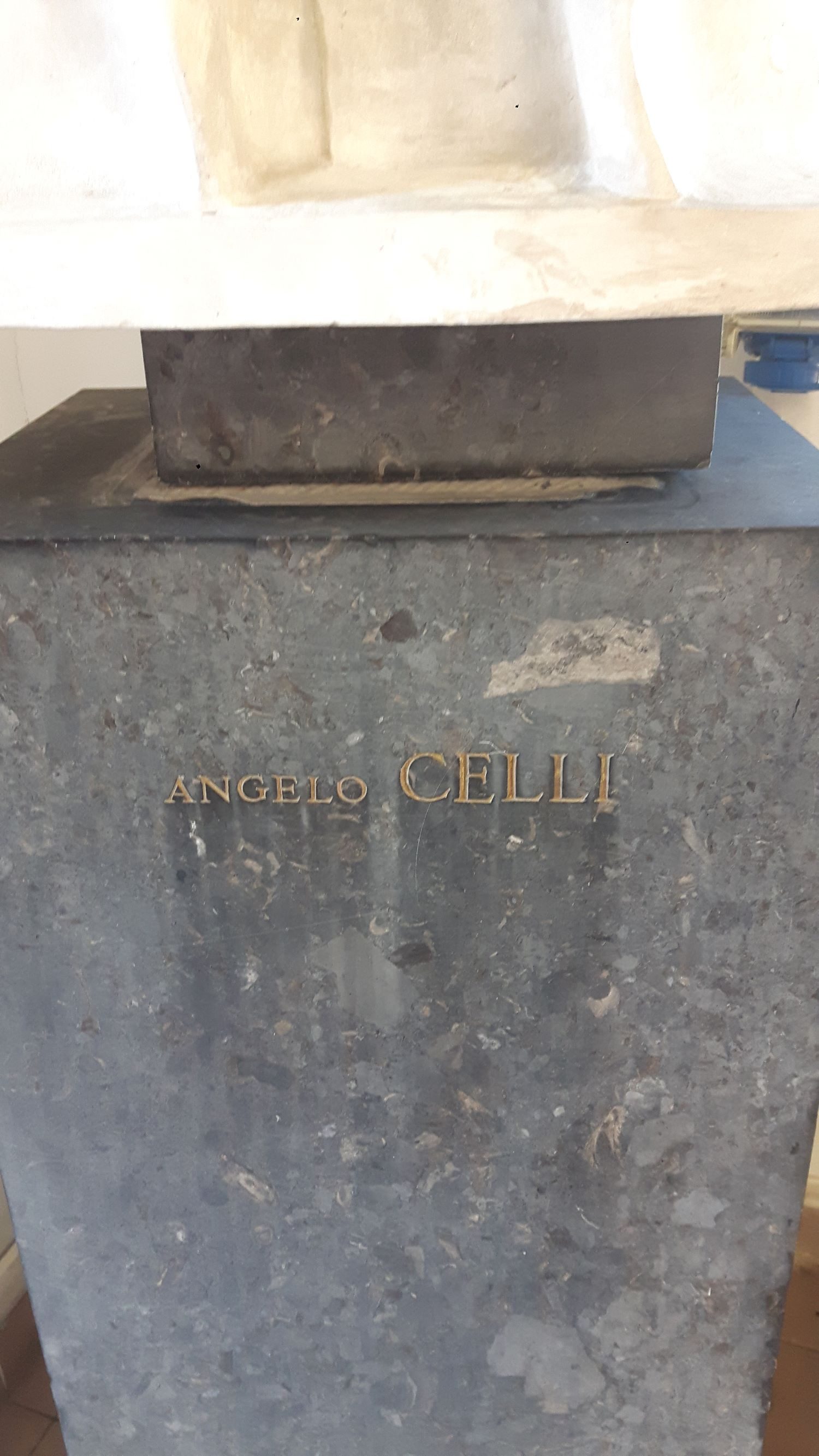 Angelo Celli's bust, Istituto di Igiene G. Sanarelli in Rome (3).jpg